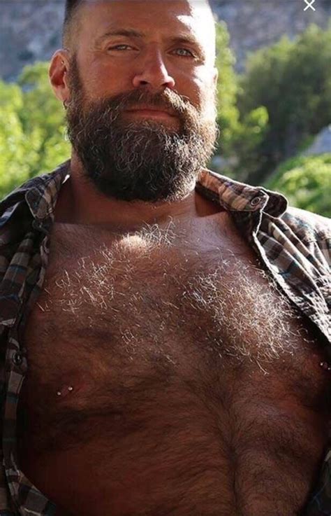 1009 Beefy Hairy Mature Bear Cums. . Gay hairy bear porn